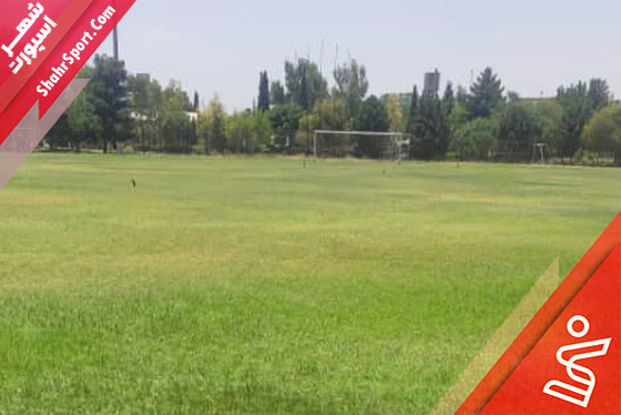 چمن طبیعی چمن طبیعی بزرگ دانشکده باهنر شیراز