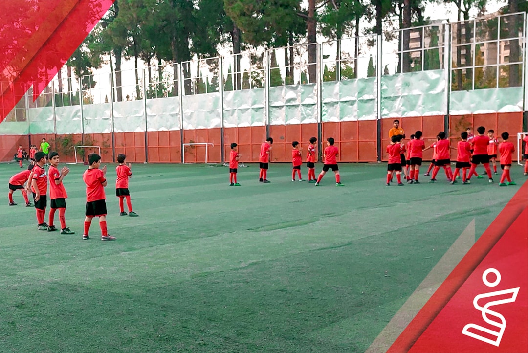 چمن مصنوعی زمین چمن باغ جنت